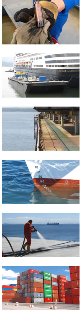 Independent Marine Surveyor Brazil